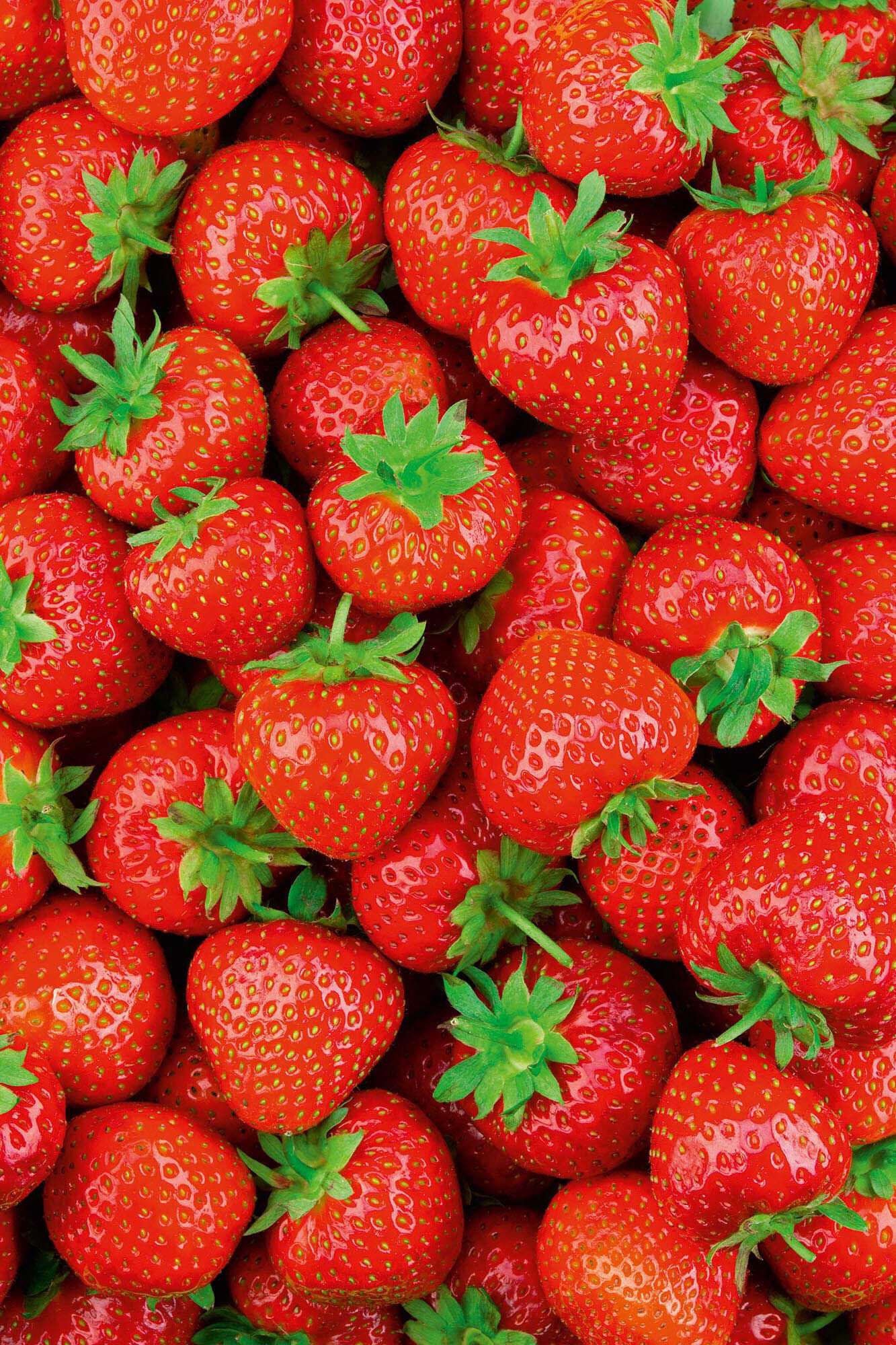 The Body Shop Body Butter de Fresa