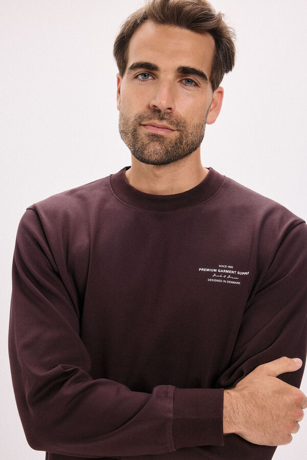 Jack & Jones Sudadera b&aacute;sica estampado Granate