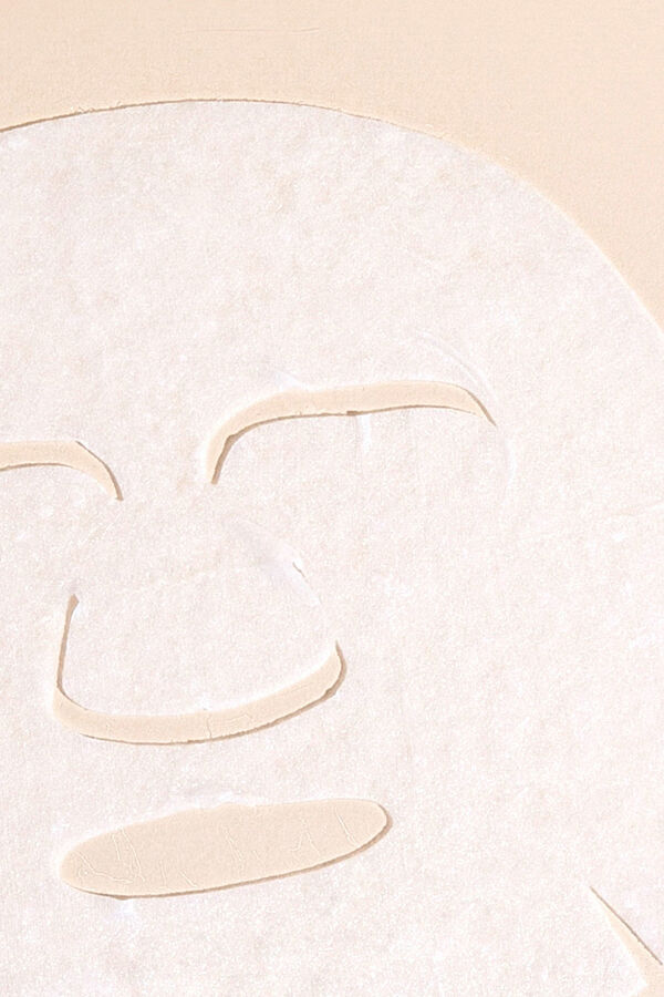 Benton Mascarilla Snail Bee High Content Arena