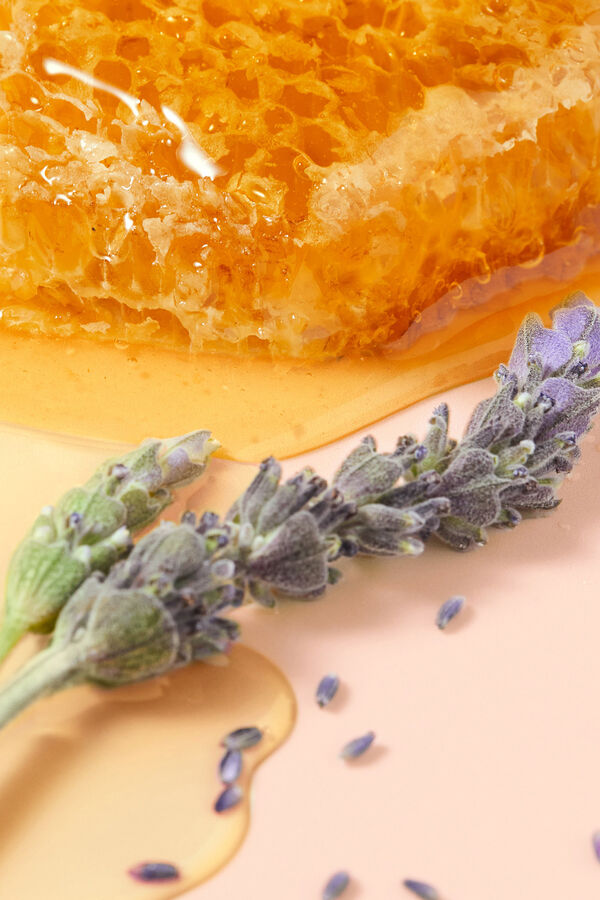 Nuxe Tratamiento labial r&ecirc;ve de miel 10 ml Beige