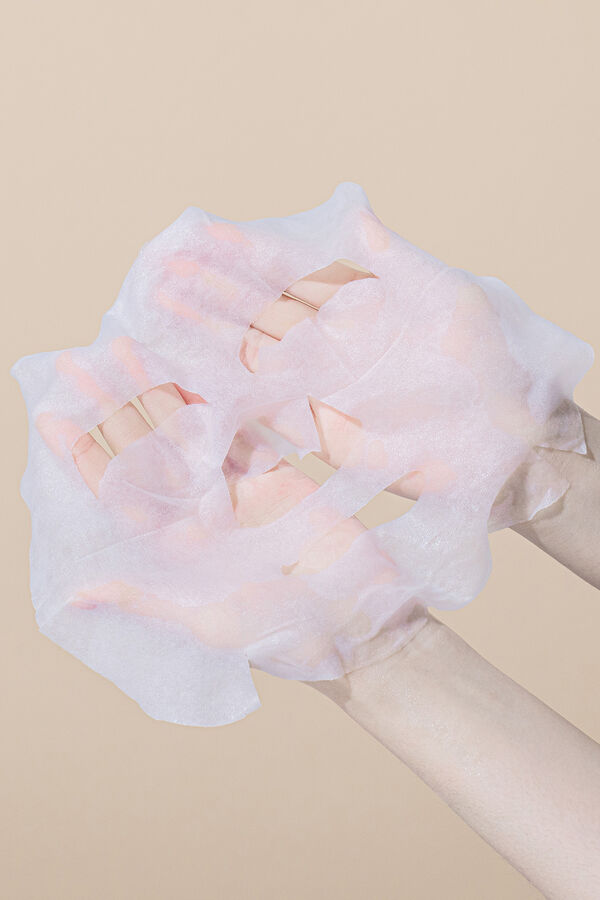 Benton Mascarilla Snail Bee High Content Arena