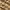 Dourado