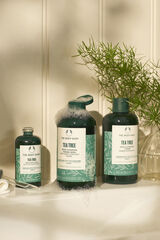 The Body Shop Tea Tree Purifying Matifying Toner 250ml Multicolorido