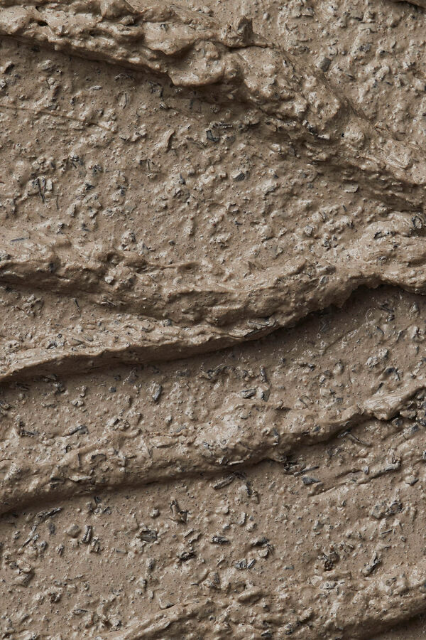 The Body Shop Himalayan Charcoal Purifying Expert Care Mask Multicolour