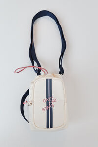 Dash and Stars Bottle carrying case