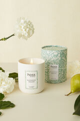 Hoss Intropia Vela Hoss Intropia Blooming Dreams Green
