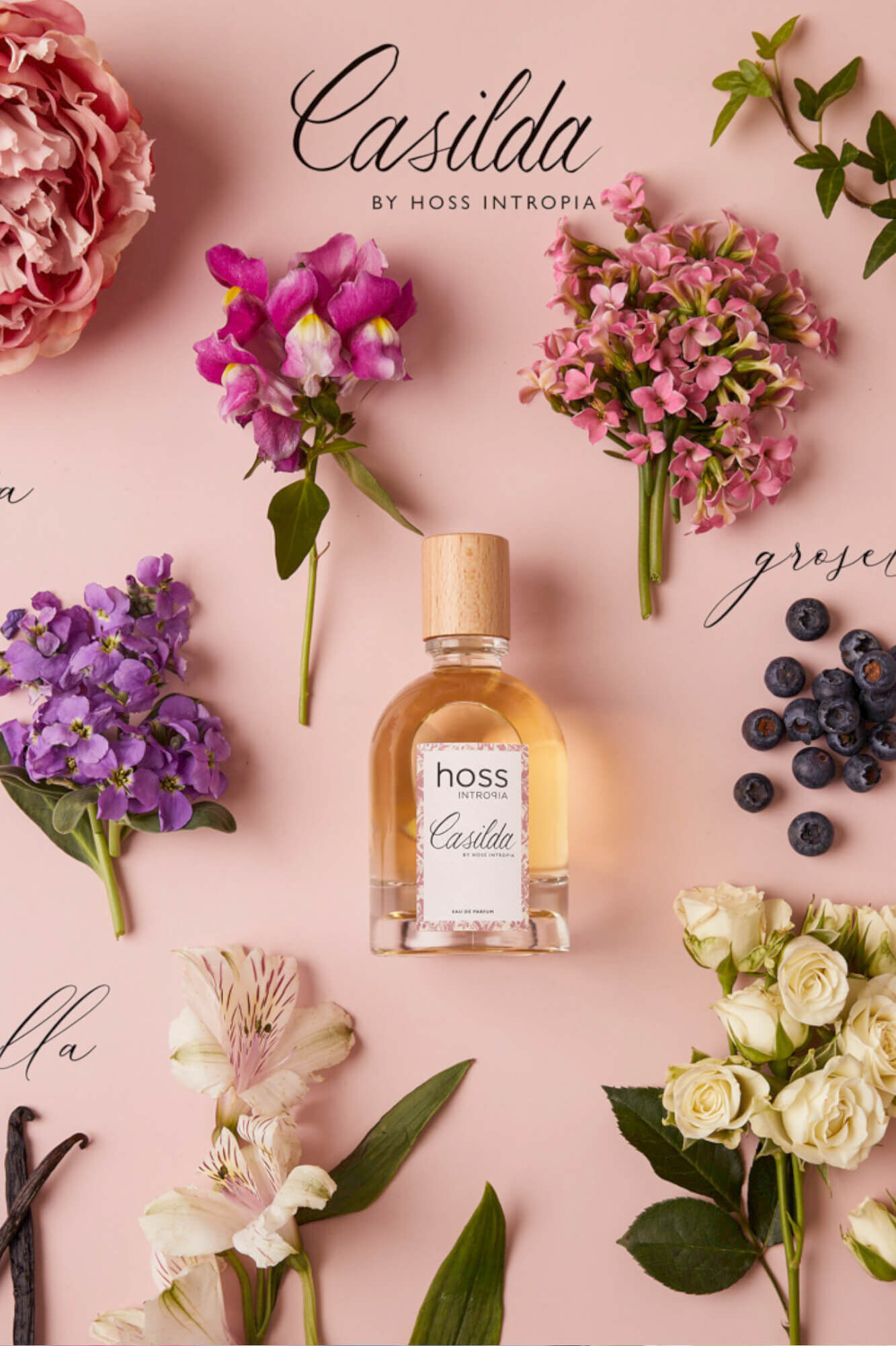 Hoss Intropia Casilda. Perfume Hoss Intropia