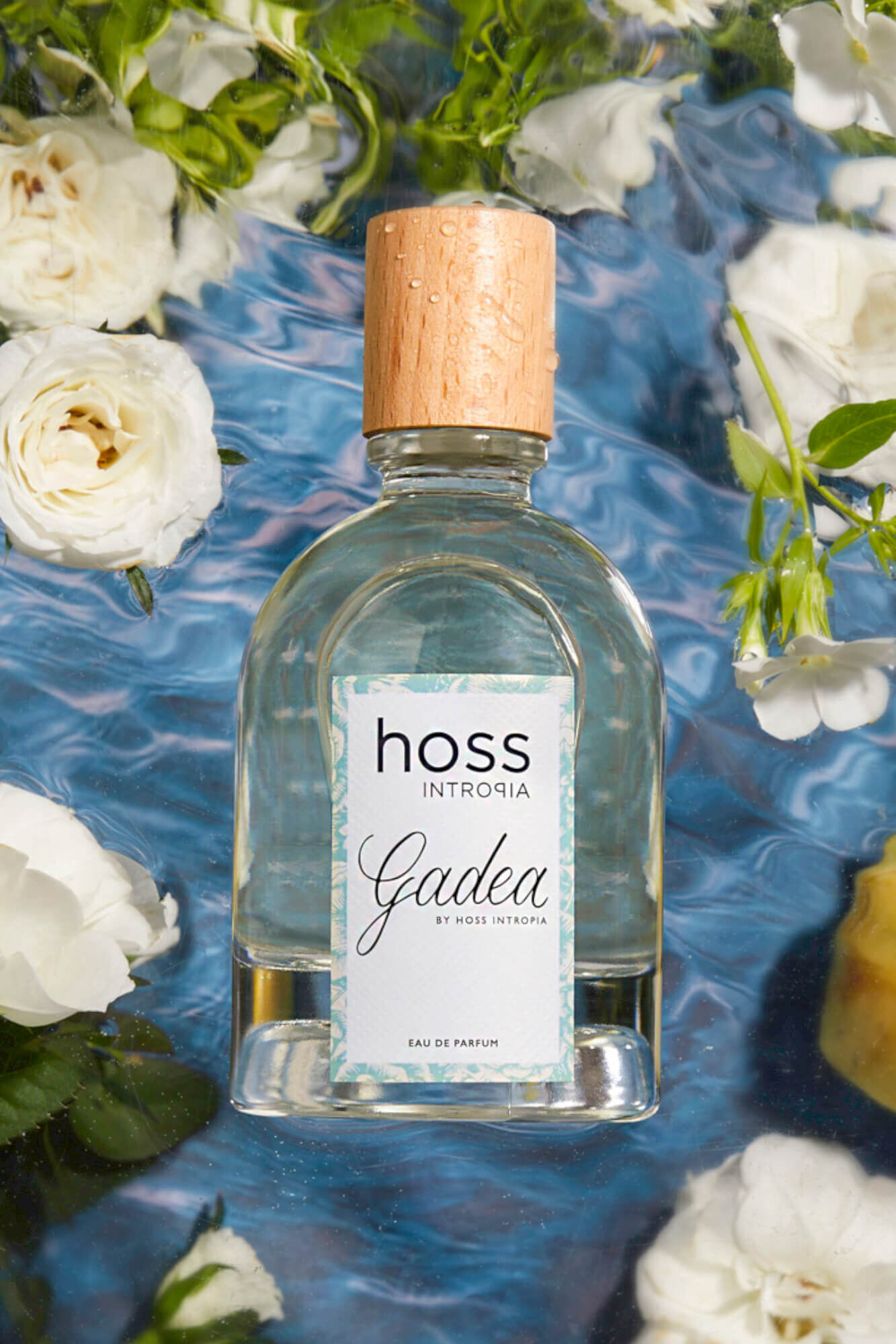 Hoss Intropia Gadea. Perfume Hoss Intropia