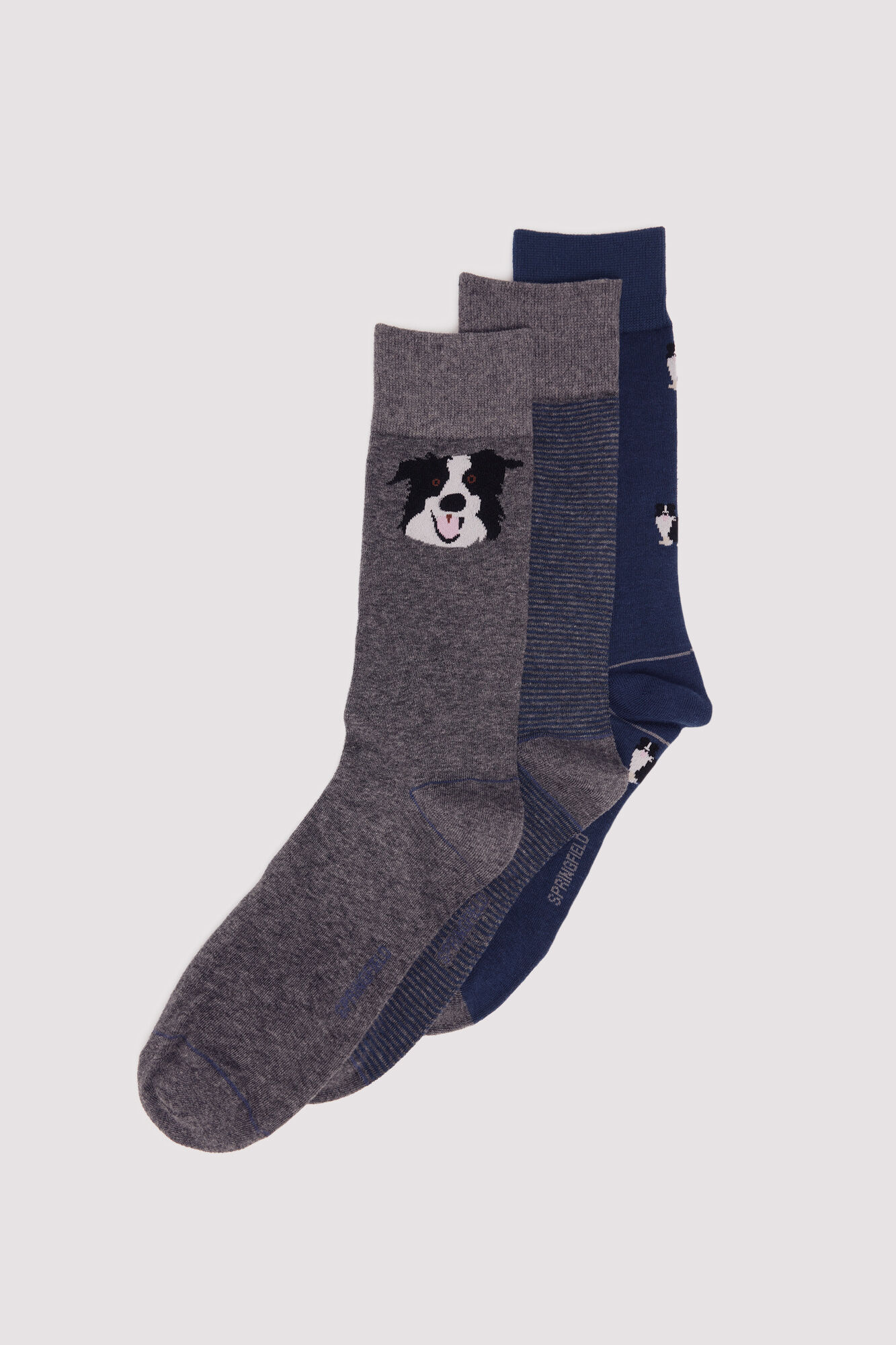 Springfield 3-pack cotton dog print socks