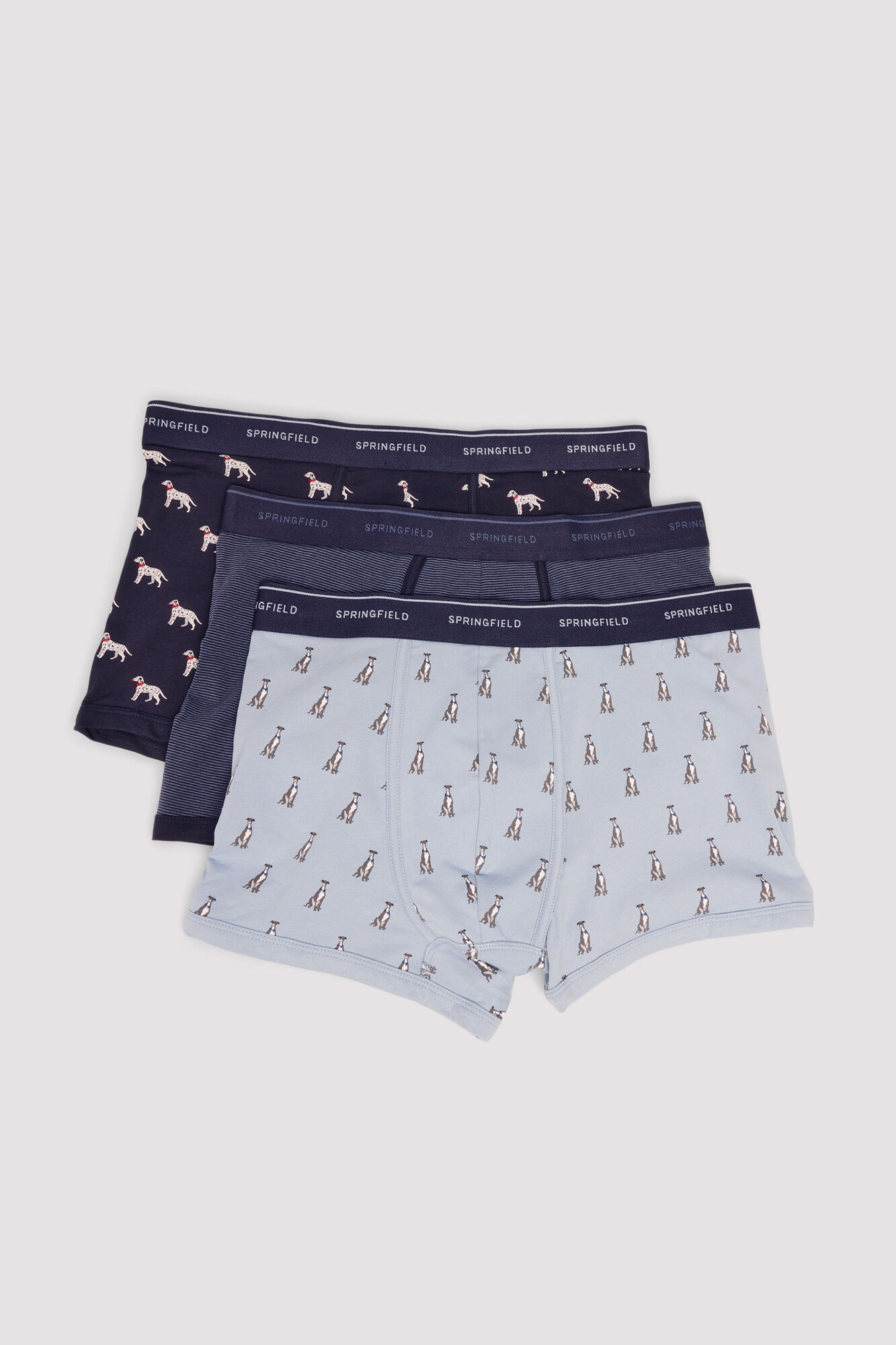 Springfield Pack 3 boxers perros