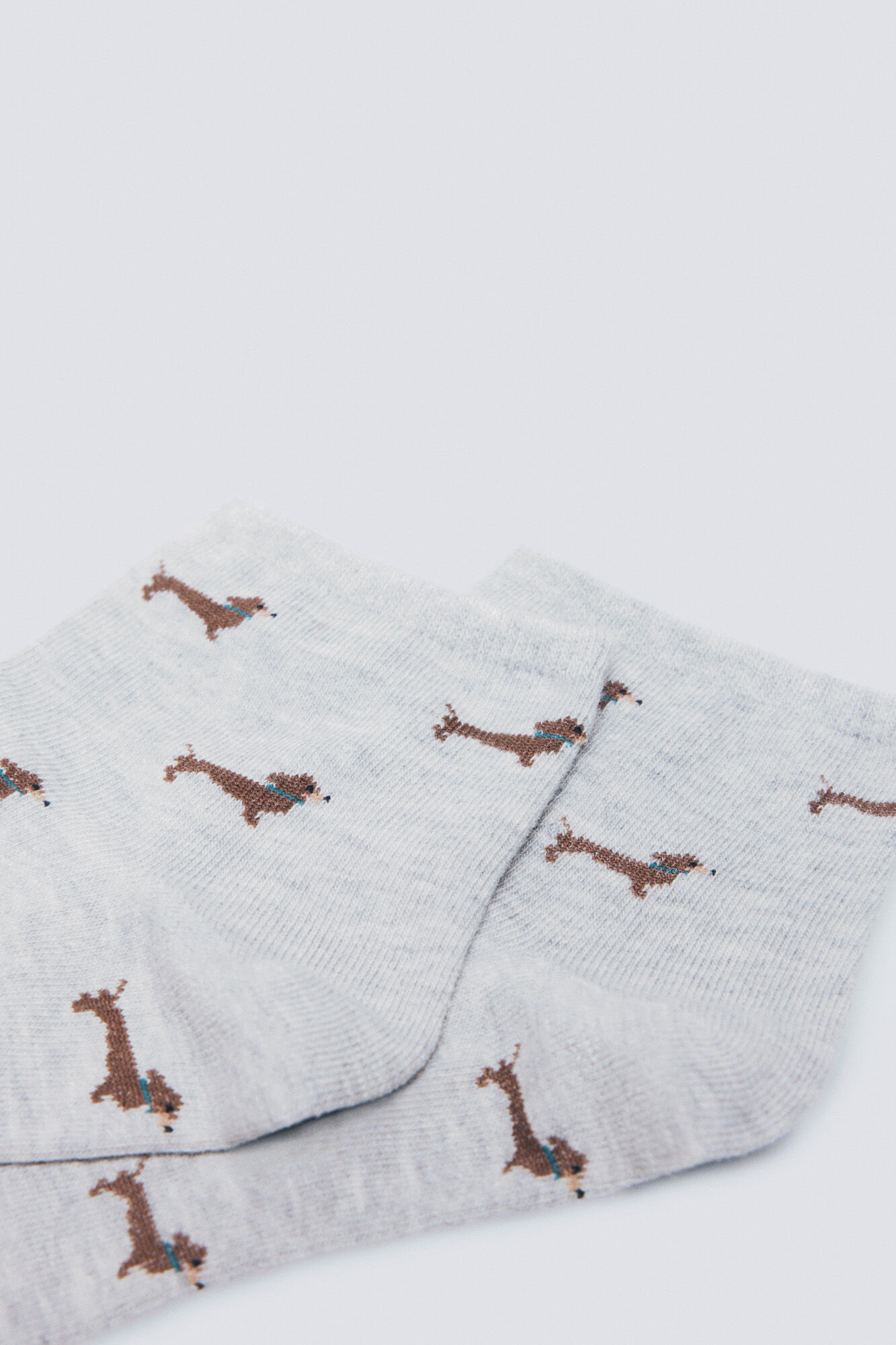 Springfield Kratke čarapa za pse