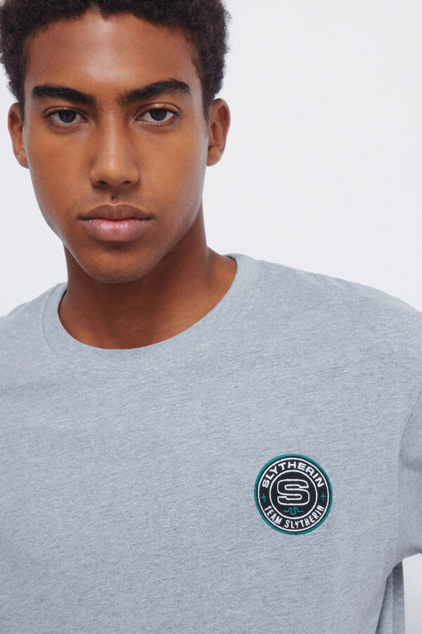 Springfield Slytherin T-shirt Siva