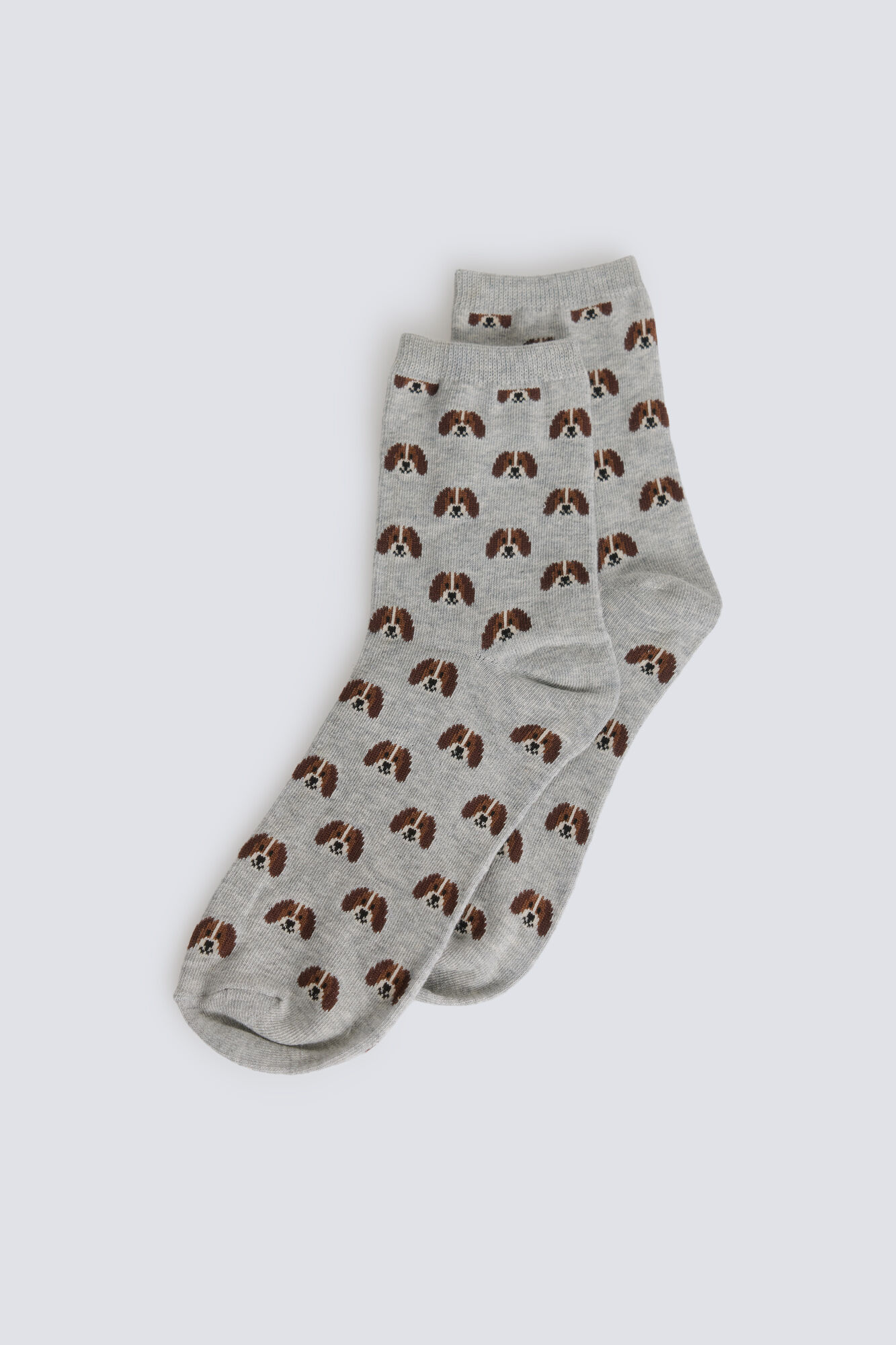 Springfield Duge čarape sa dezenom kuca