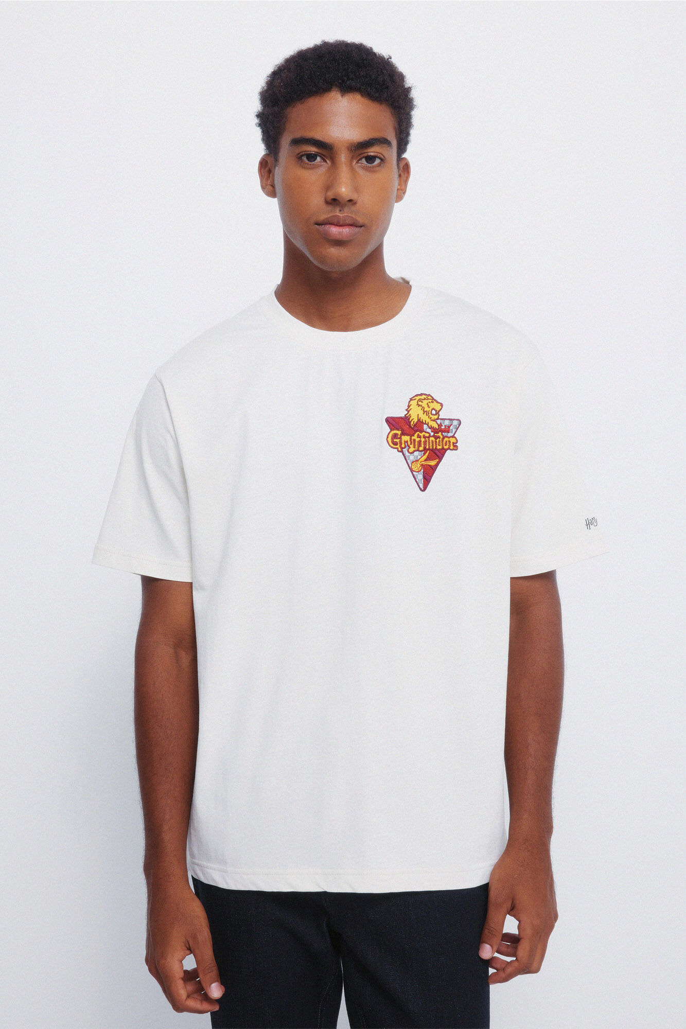 Springfield Camiseta Gryffindor