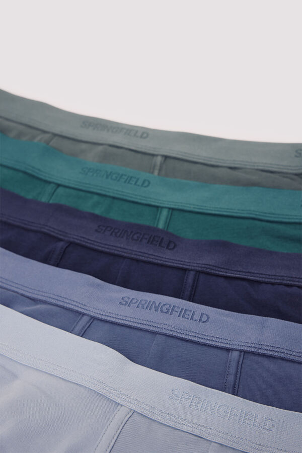 Springfield Pakovanje od 5 pari bokserica Plava