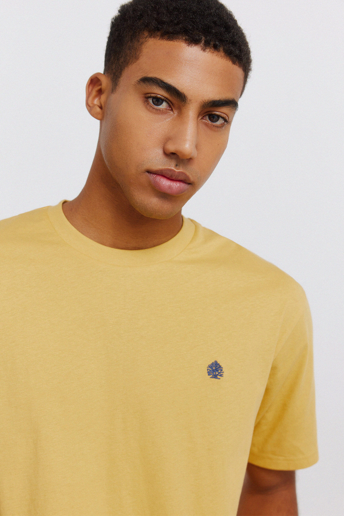 Springfield Osnovna majica kratkih rukava s logotipom Springfielda