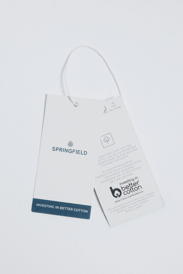 Springfield camiseta gr&aacute;fica americana vison