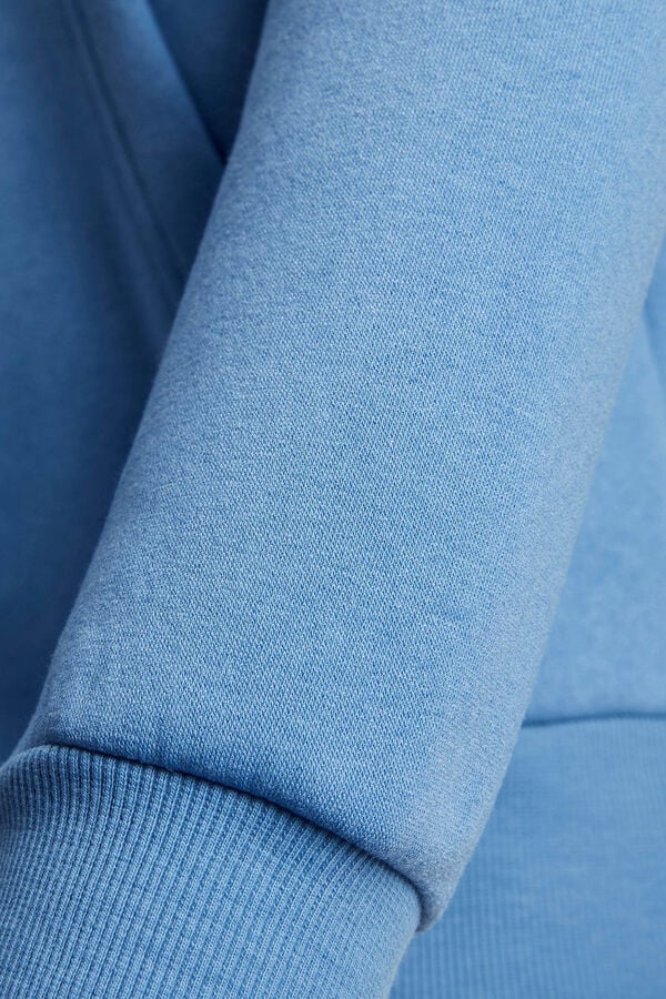 Springfield Sudadera capucha estándar azul medio