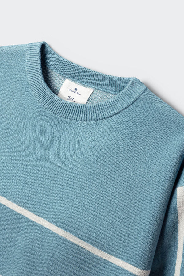 Springfield Kids Džemper Blooming za dečake Plava