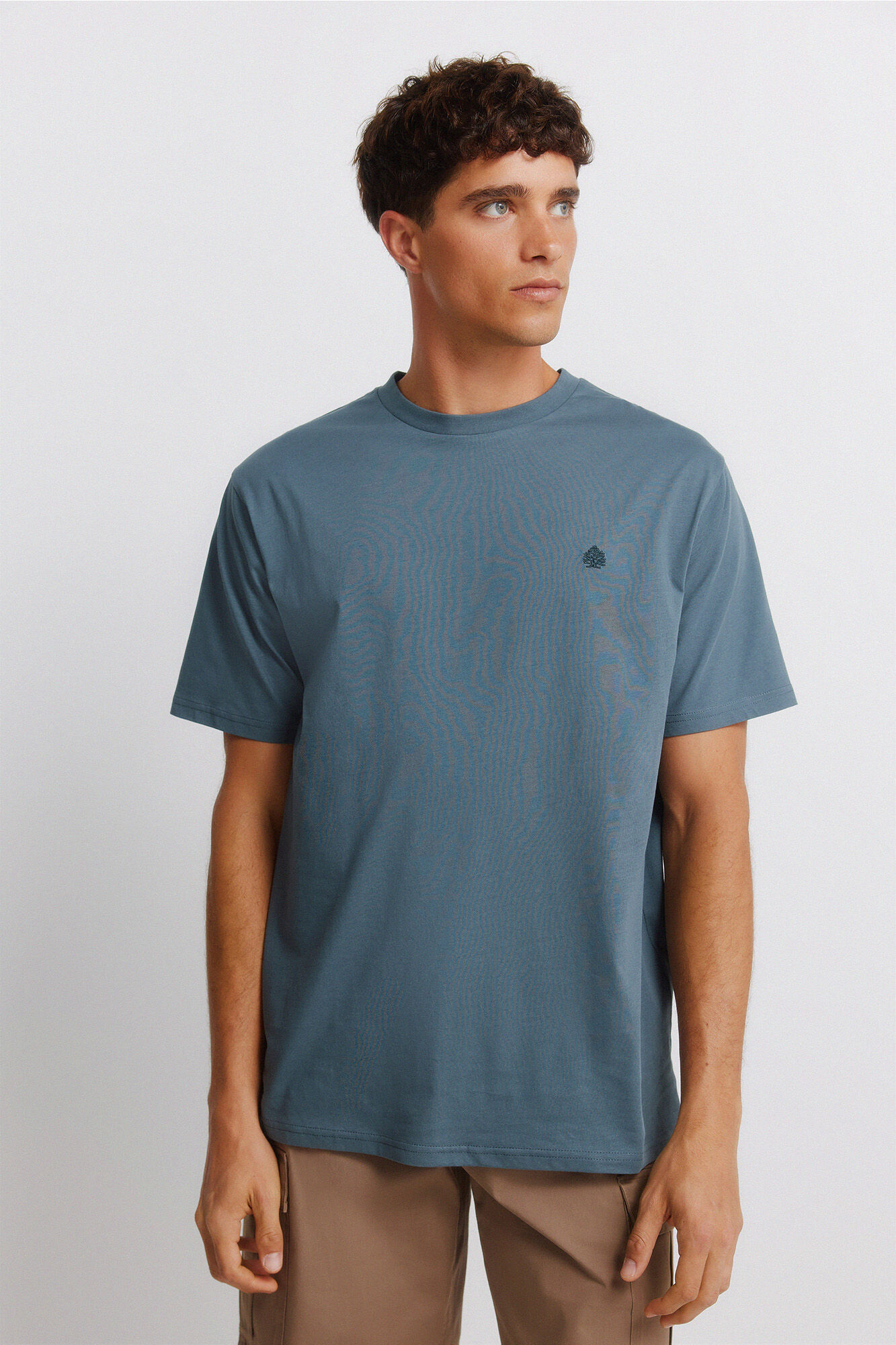 Springfield Camiseta b&aacute;sica logo Springfield