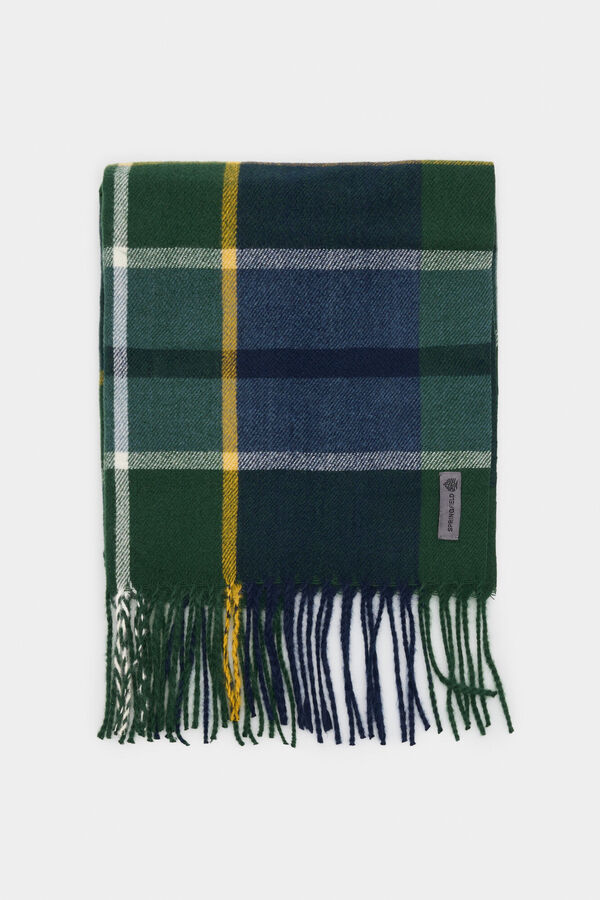 Springfield Cachecol xadrez xadrez verde e azul verde