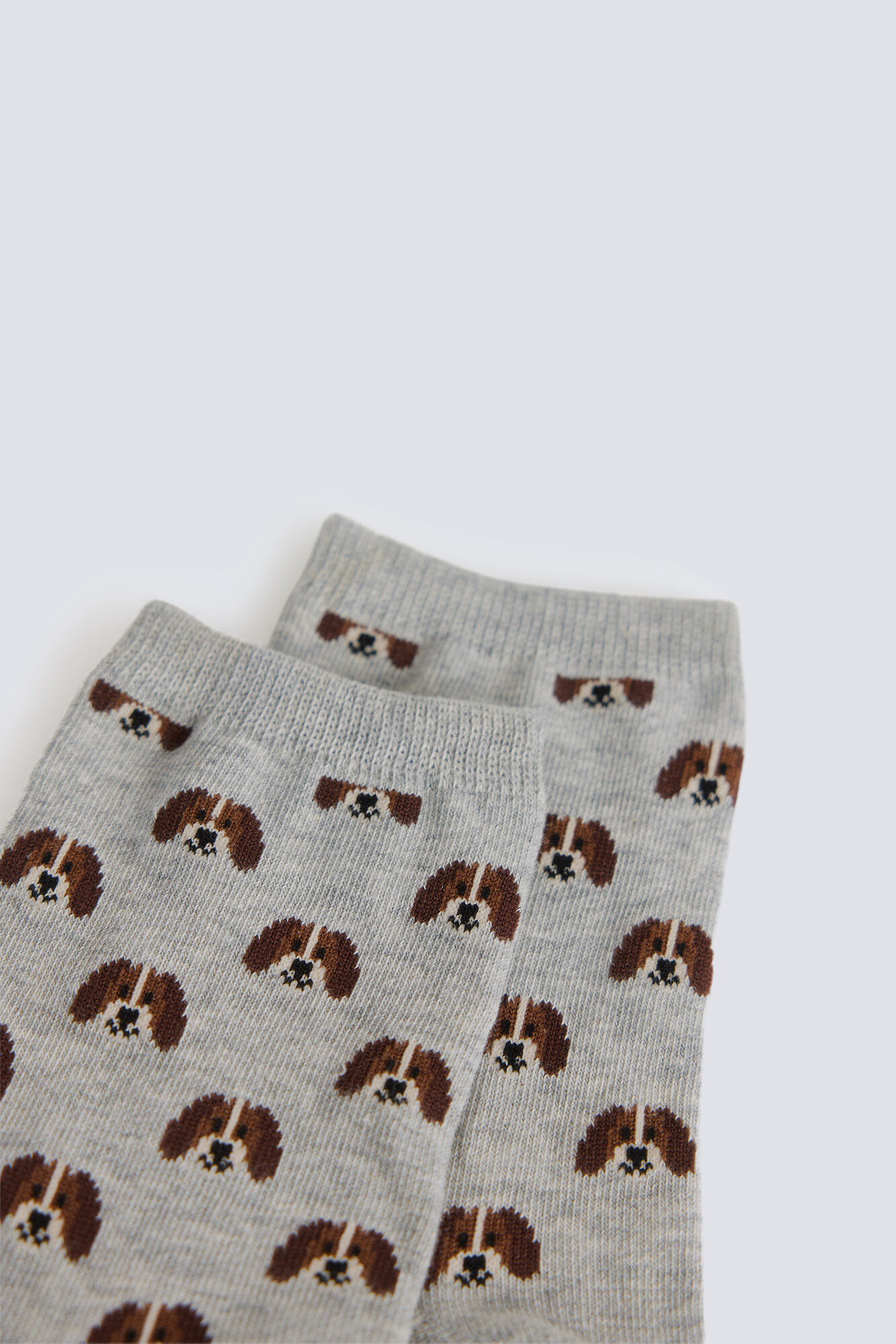 Springfield Duge čarape sa dezenom kuca