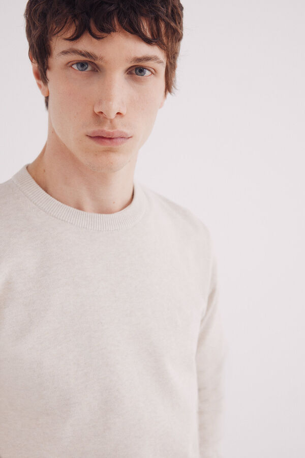 Springfield Osnovni džemper Smeđa