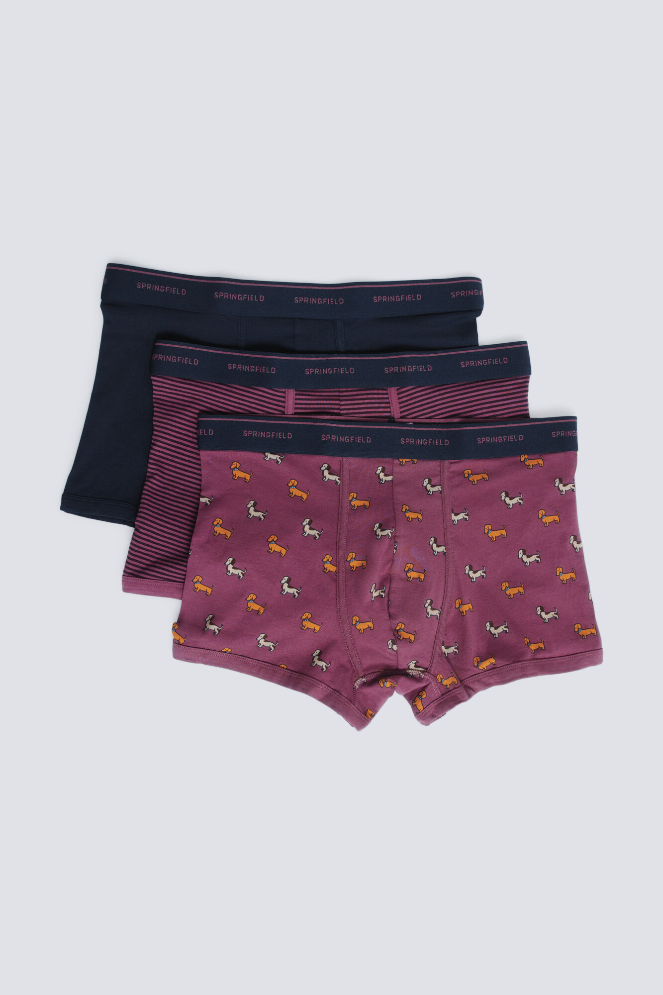 Springfield Pack 3 boxers perros y rayas