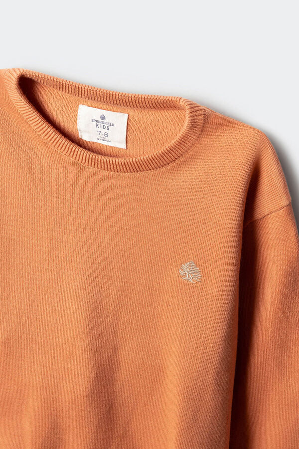Springfield Kids Osnovni džemper sa štitnicima za laktove za decu Narandžasta