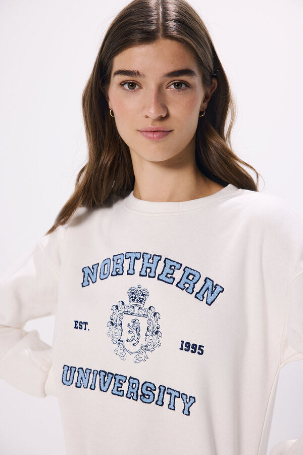 Springfield Sweat "Universit&eacute; du Nord" marron