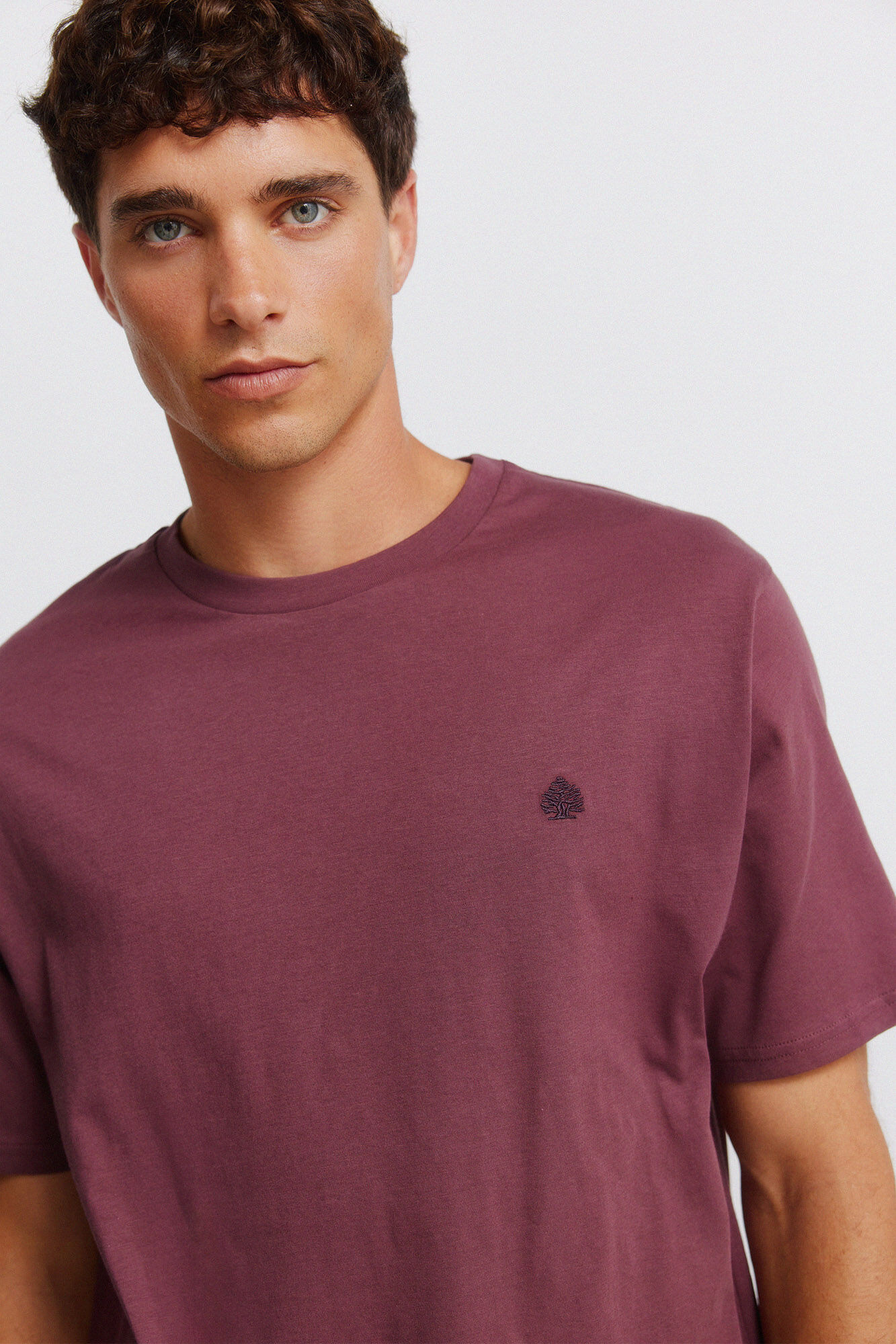 Springfield Camiseta b&aacute;sica logo Springfield