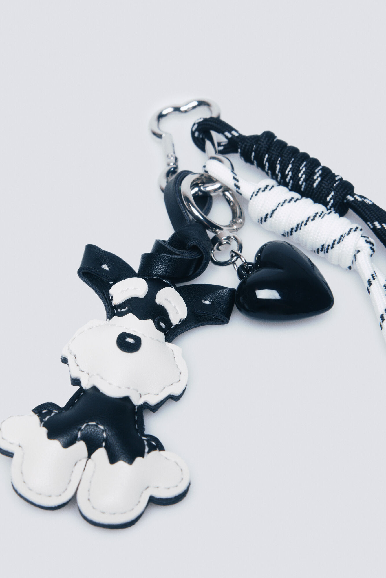 Springfield Charm perro Terrier