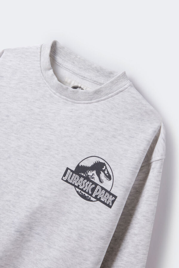 Springfield Boys' Jurassic Park sweatshirt svijetlosiva