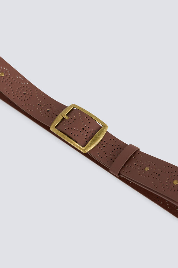 Springfield Braon kai&scaron; sa nitnama Print