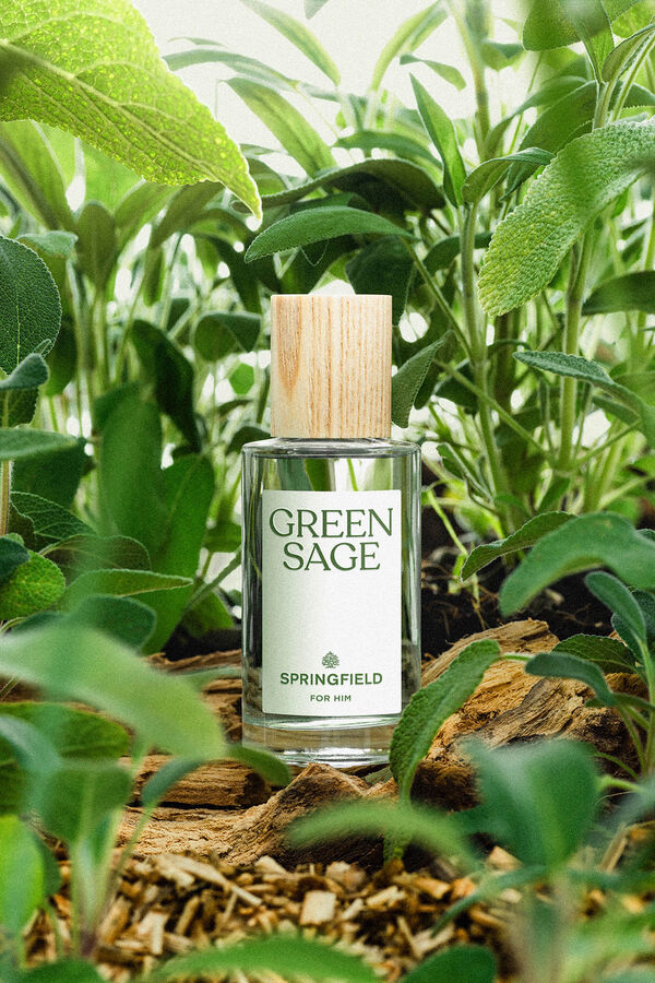 Springfield GREEN SAGE 50 ML Tirkizna