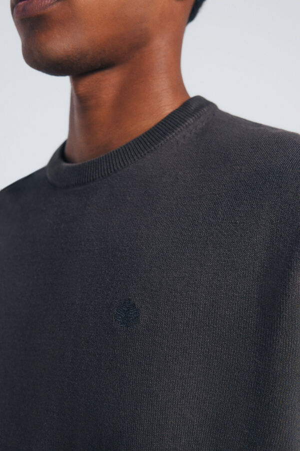 Springfield Osnovni džemper S uzorkom