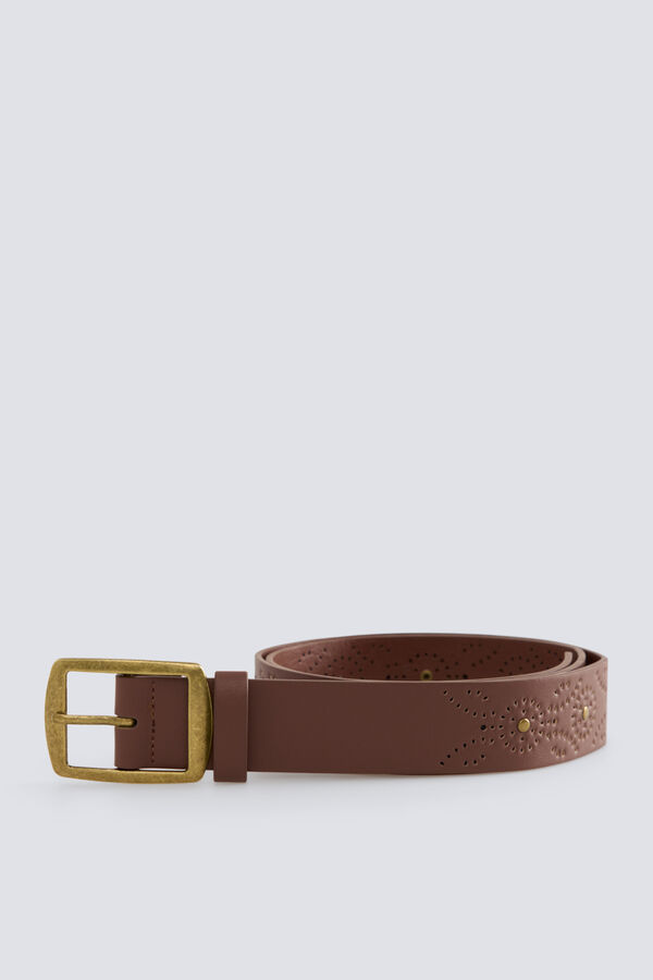 Springfield Braon kai&scaron; sa nitnama Print