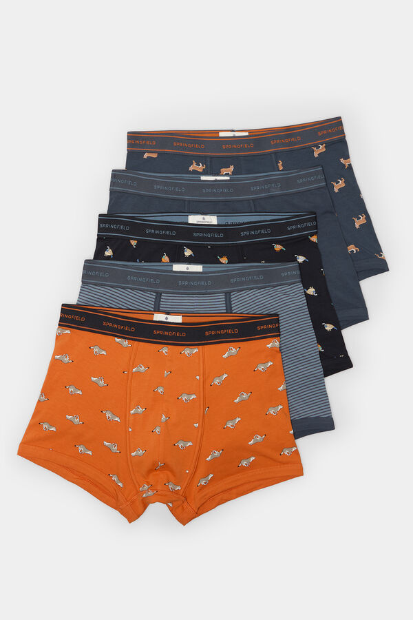 Springfield Pack of 5 animal print boxers blue