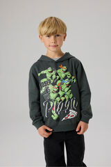 Name It Sudadera las Tortugas Ninja gris