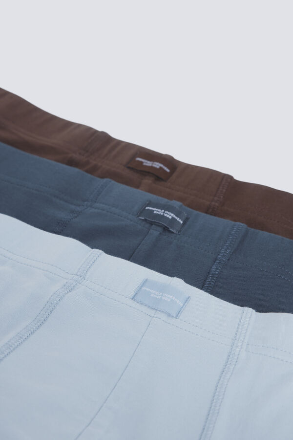 Springfield Pakovanje 2 komada osnovnih slip gaćica Braon