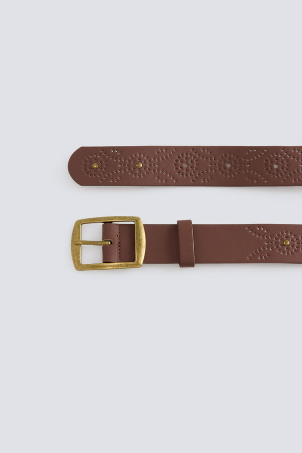 Springfield Braon kai&scaron; sa nitnama Print