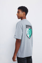 Springfield Slytherin T-shirt Siva