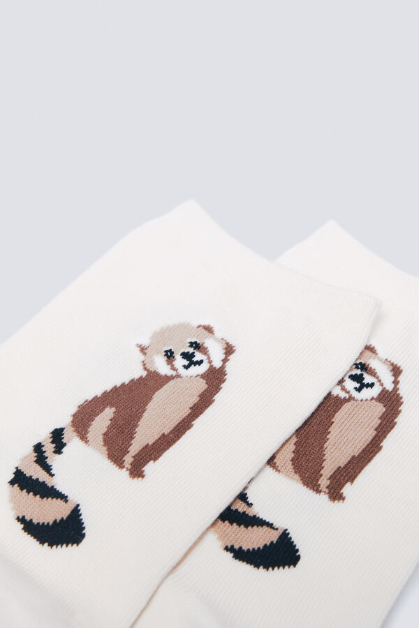 Springfield Duga čarapa s rakunom Smeđa