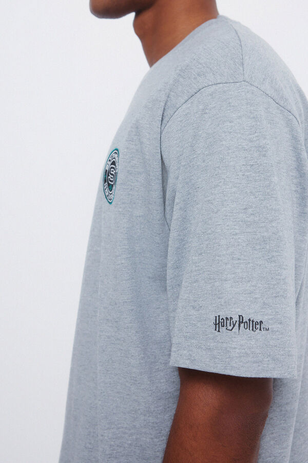 Springfield Slytherin T-shirt Siva