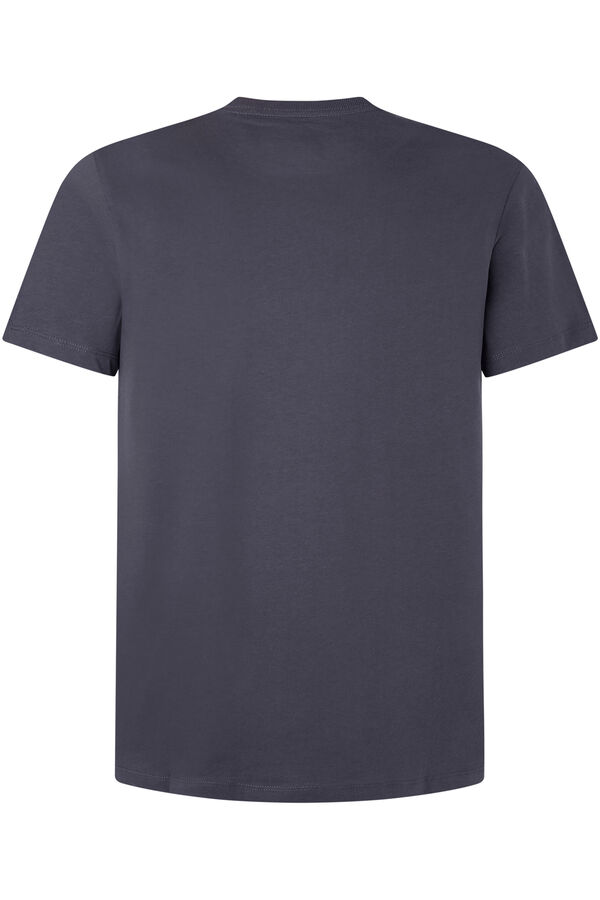 Springfield Men's short-sleeved T-shirt with flag photo print.  light gray