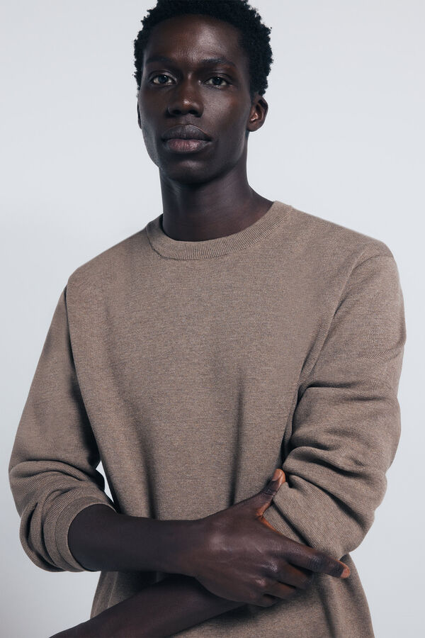 Springfield Džemper Milana Braon