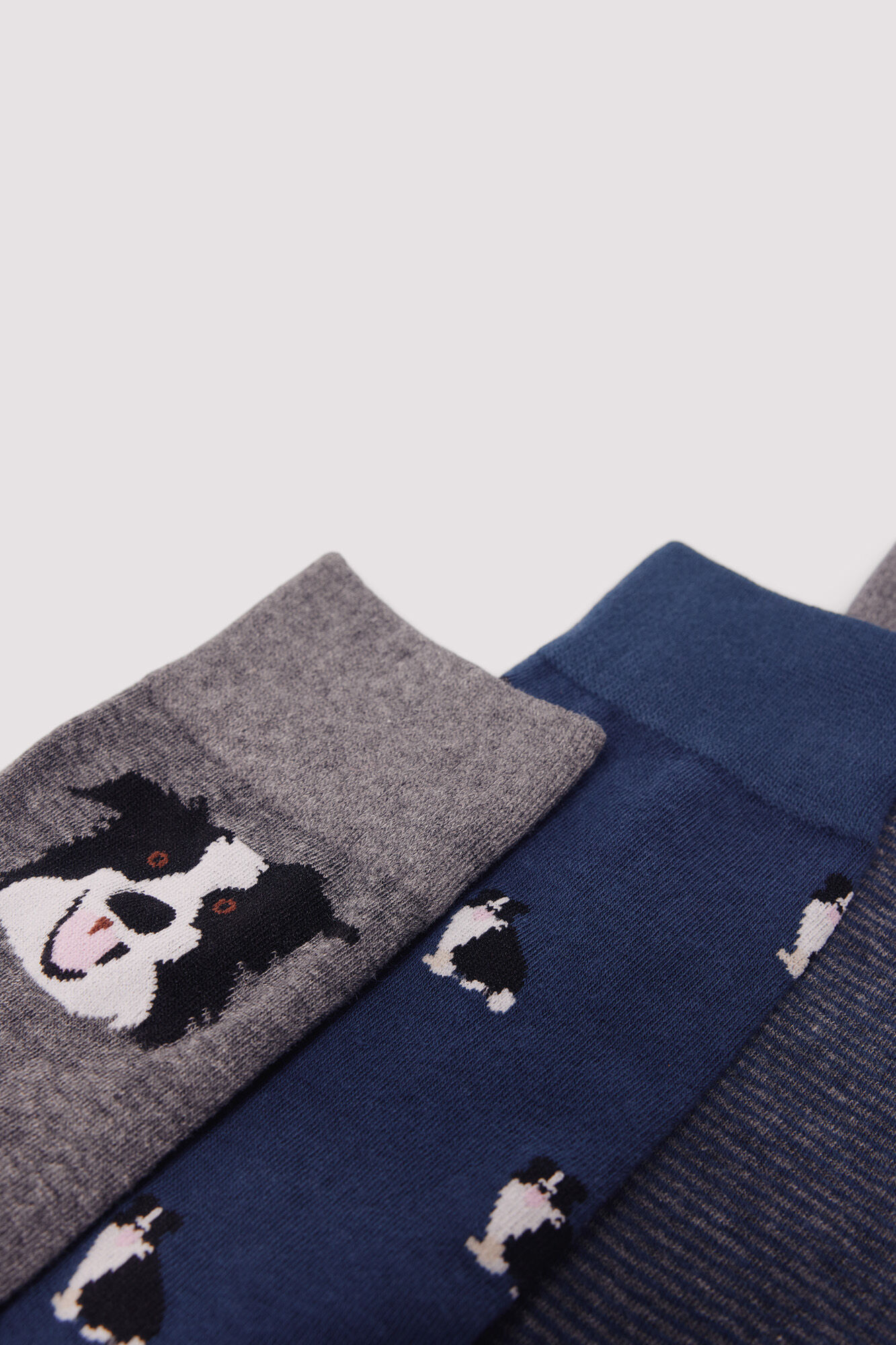 Springfield 3-pack cotton dog print socks