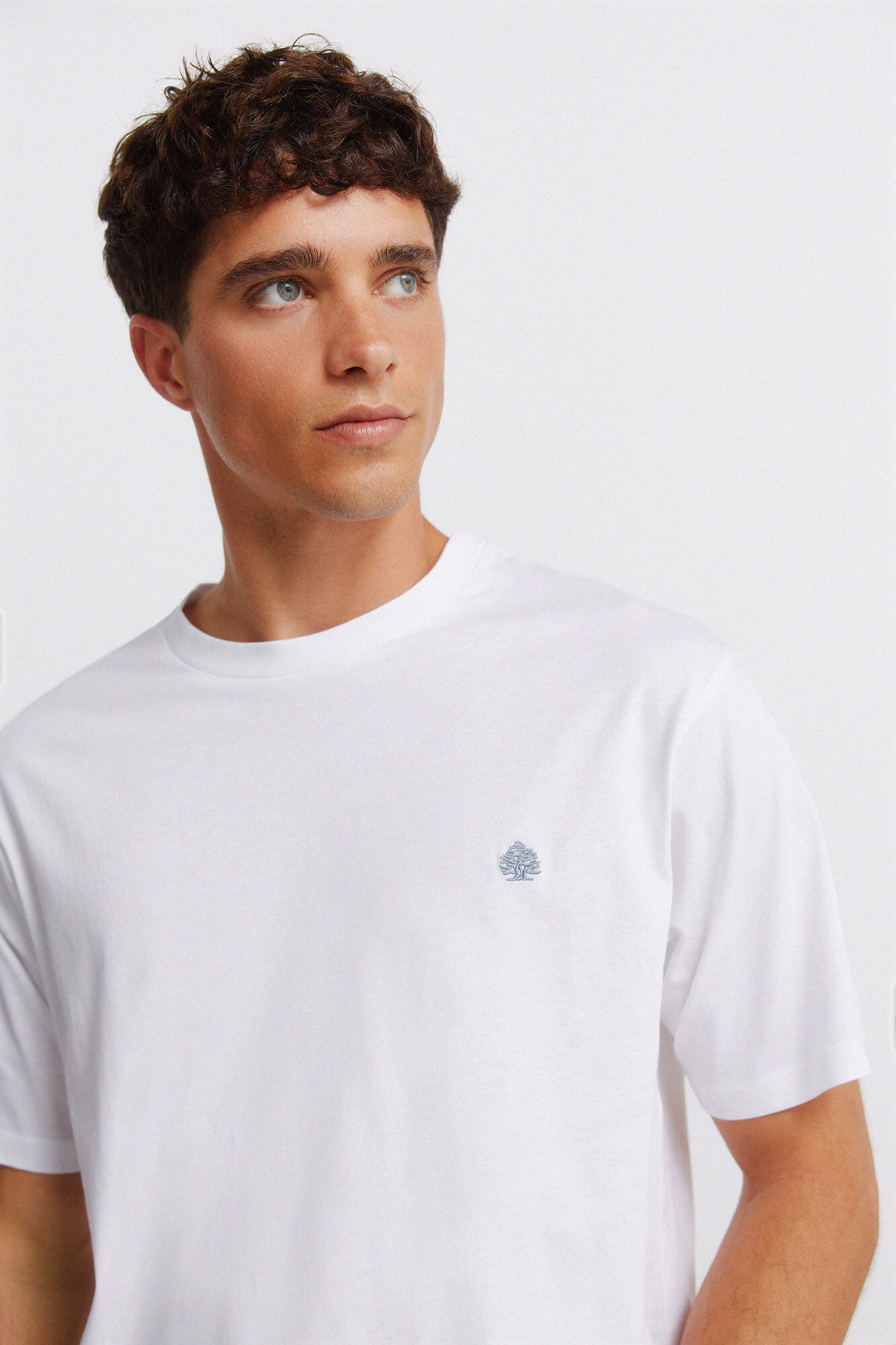 Springfield Camiseta b&aacute;sica logo Springfield