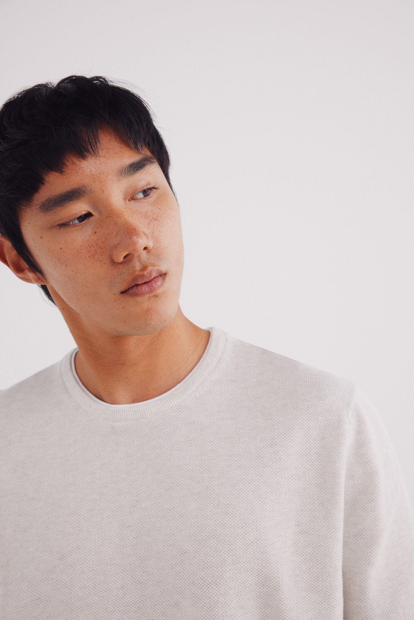 Springfield Jersey estructura