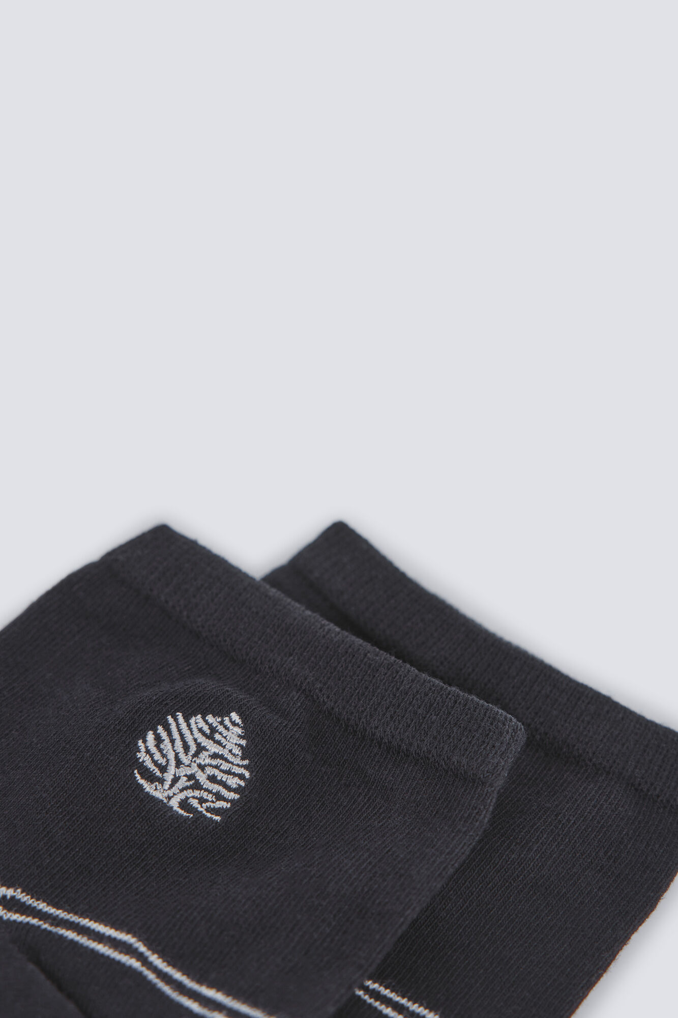 Springfield Čarapa do gležnja s logotipom Springfielda